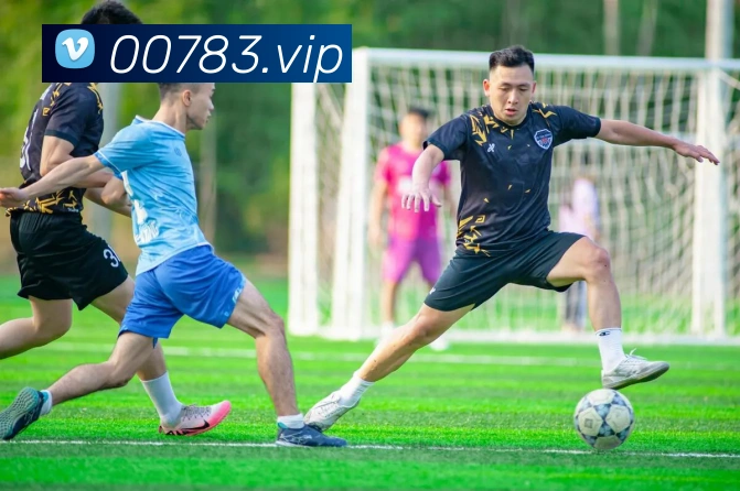 奖项证书